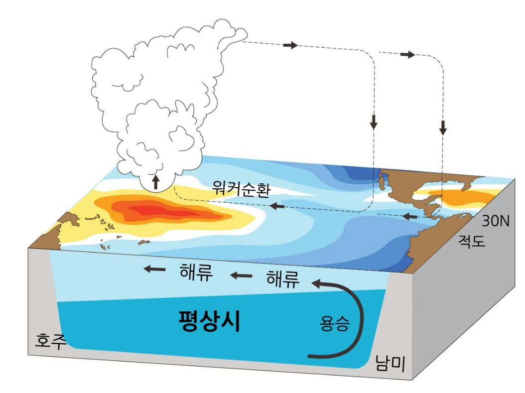 엘니뇨1.JPG