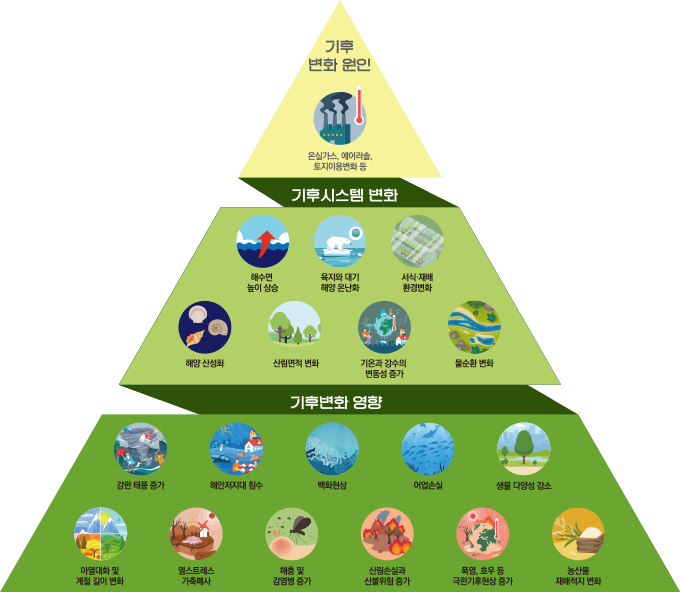 기후변화 영향정보 도표