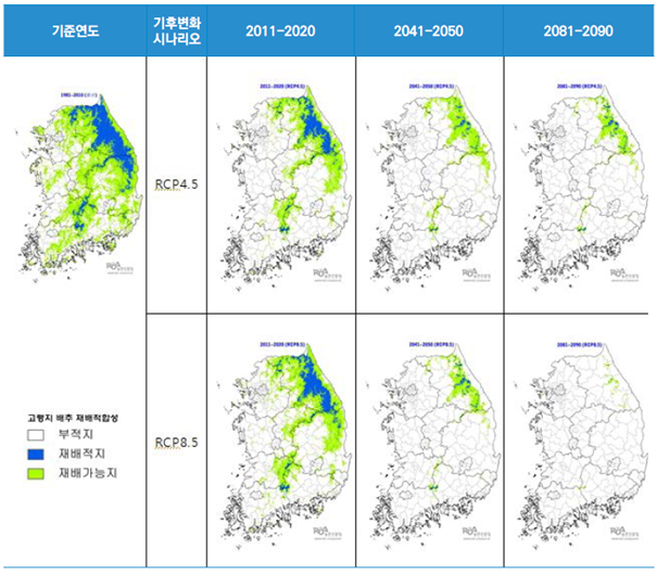 기후변화시나리오 및 연대별 '고랭지배추' 재배적지 변동 예측도